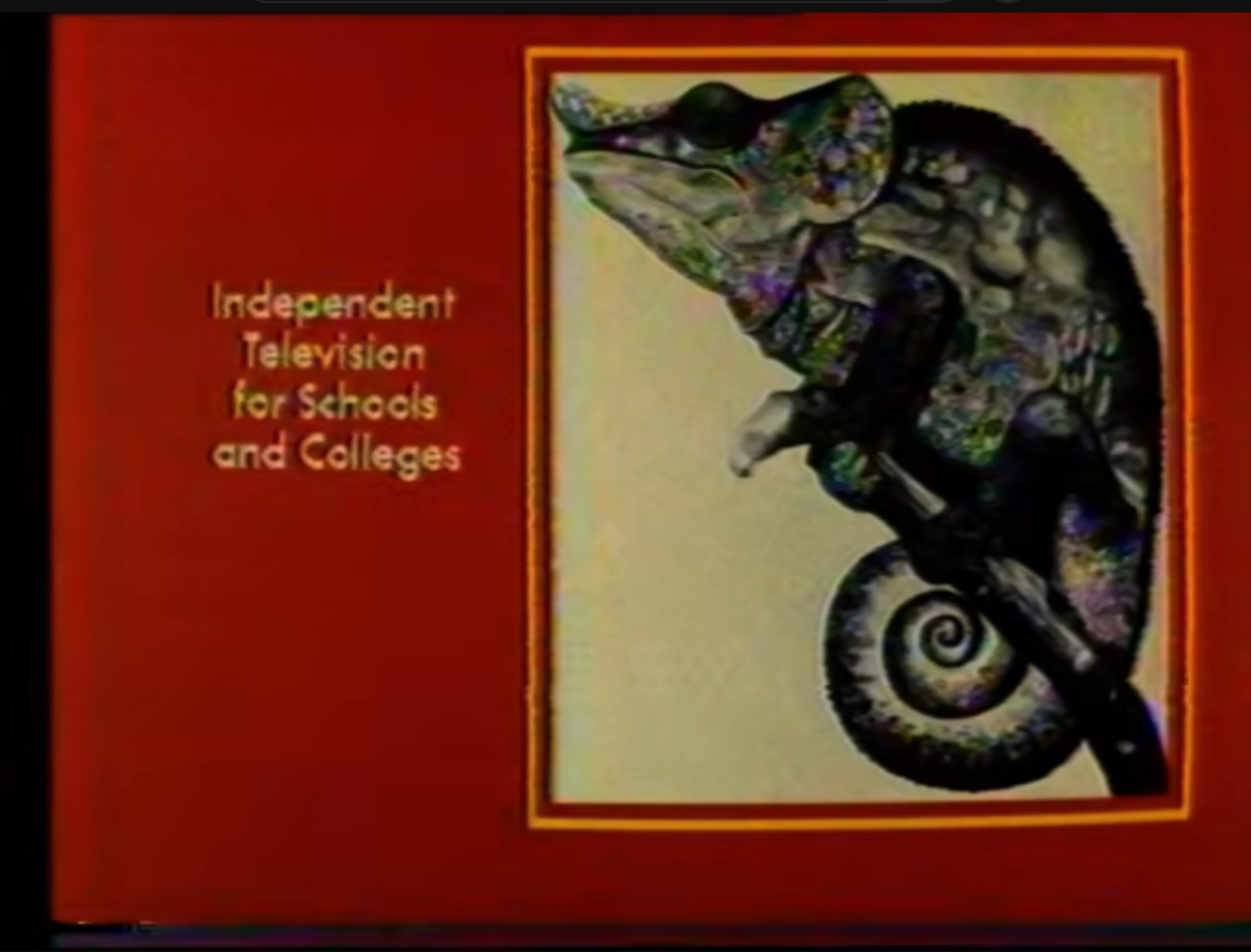 Spring Term 1978 slide