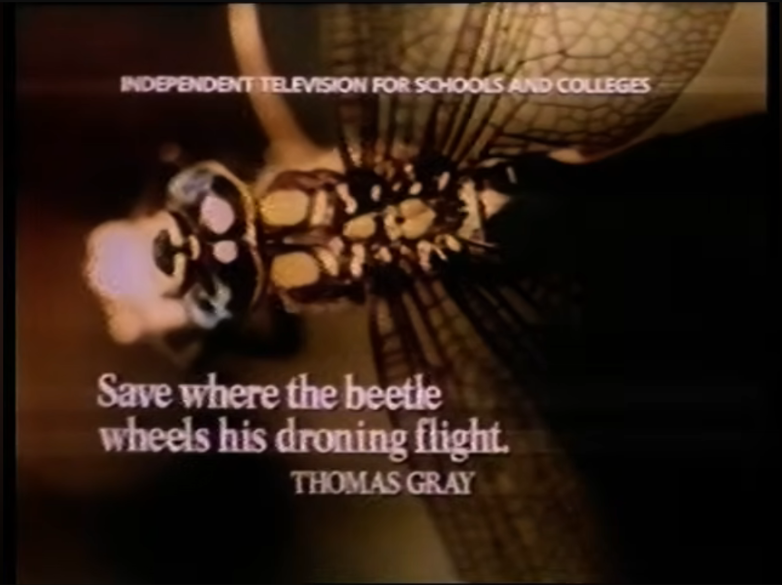 Spring Term 1987 slide